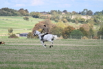 WJ7_5714