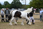 WJ6_8357