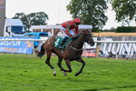 Race 7 16.55pm John Joseph Robson Memorial Handicap portfolio