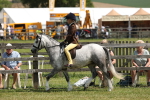SBM_05339