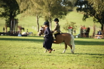 SBM_34225