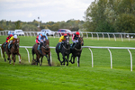 171026-Race 5-Brighton Boy-5947