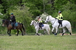 WJ6_1828