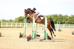 SBM_005035