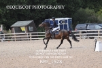 BPP_1528