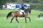 Rider 490 to 499 portfolio
