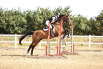 SBM_000096