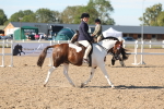 SBM_12338