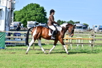 SBM_11740