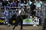 Steven DeWolfe_DSC2249