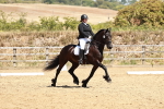 SBM_003446