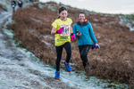 Sale Fell-45