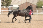 SBM_06857