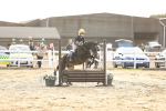 SBM_000339