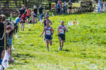 The Finish-547