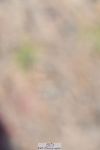 230520A-092345-01609