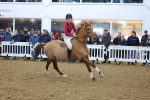 SBM_004147