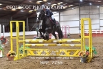 CLASS 5 0.95m Amateur Championship Qualifier portfolio