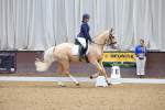 SBM_001882