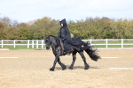SBM_001037