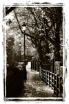 Chester City Walls by Cathedral sepia Butcher