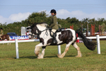Class 28: Ridden Native/Trad Coloured Pony portfolio