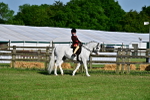 SBM_19911