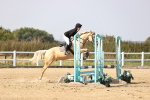 SBM_003088