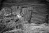 Old Wooden Barn,B-W-4295