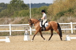 SBM_018641