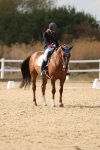 SBM_015640