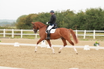 SBM_009341
