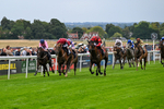 290826-Race 5-Supreme Clarets-7366