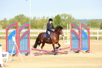 SBM_006134