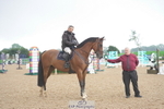 Cls 29 Snr Foxhunter portfolio