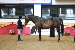 SBM_20104