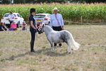 WJ6_7046