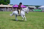 SBM_07792