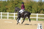 SBM_001921