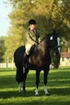 SBM_55558