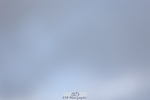 241201X-135516-01566