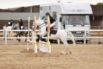 SBM_008782