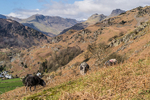 Elterwater-149