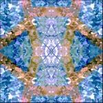 Lavendar in the vineyard