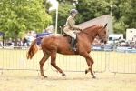 SBM_14672