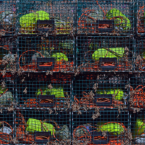 Lobster harvesting parphernalia in a grid-style arrangement.