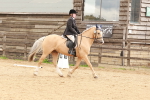 SBM_001493