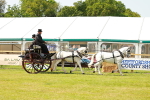 SBM_02778