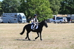 WJ6_8372