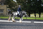 WJ5_9066